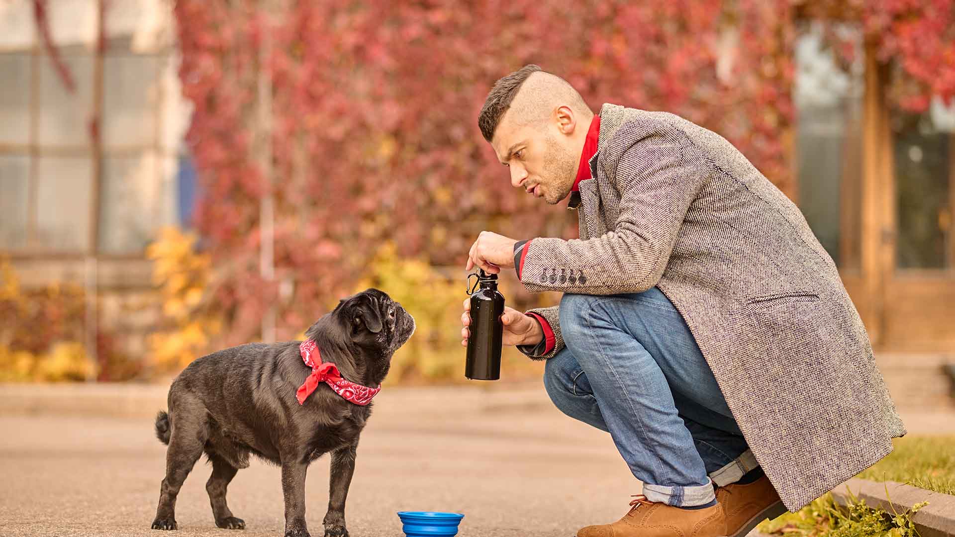 Köpekler İçin Gıda ve Su Kabı Seçerken Nelere Dikkat Etmeli?