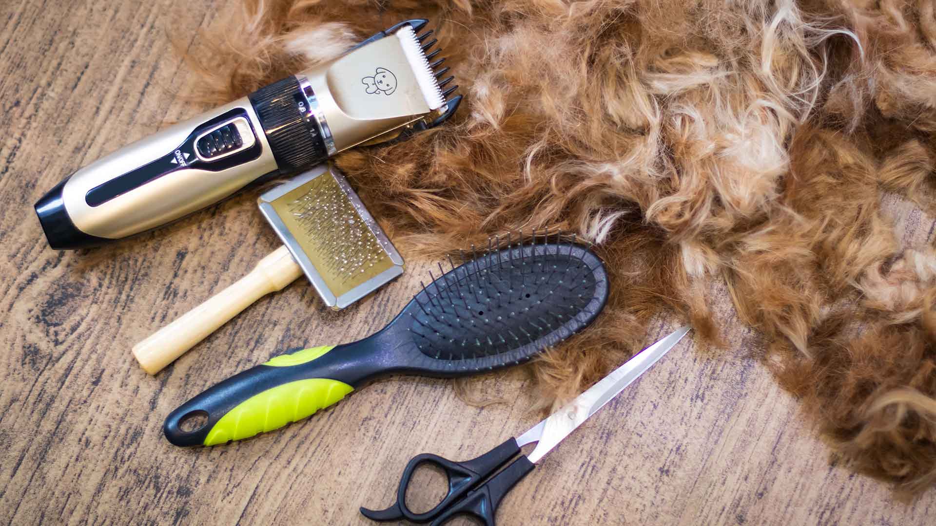 Köpek Bakımında Kullanılan Temizlik Ürünleri ve Ekipmanları