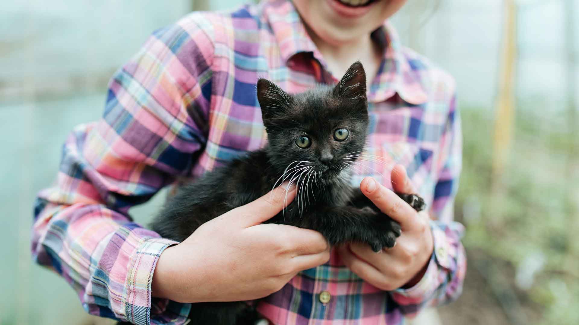 Kedi ve Çocuk İlişkisi: Güvenli ve Uyumlu Bir Ortam Nasıl Sağlanır?