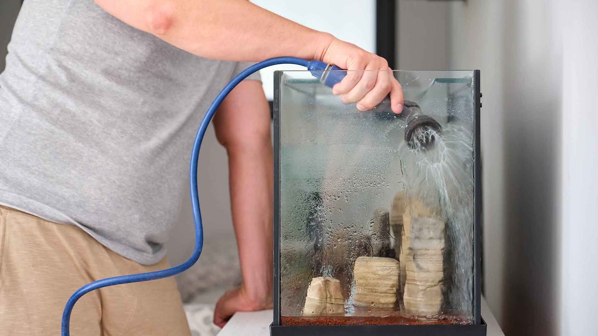 Akvaryum Temizliği Ne Sıklıkta ve Nasıl Yapılmalı?