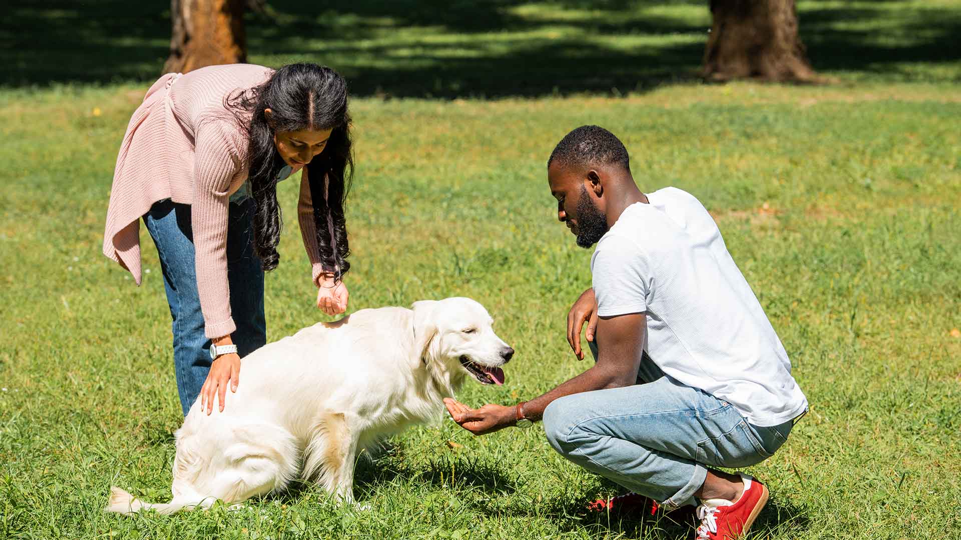 Köpeğinizle Sağlıklı Bir İletişim Kurmanın Yolları