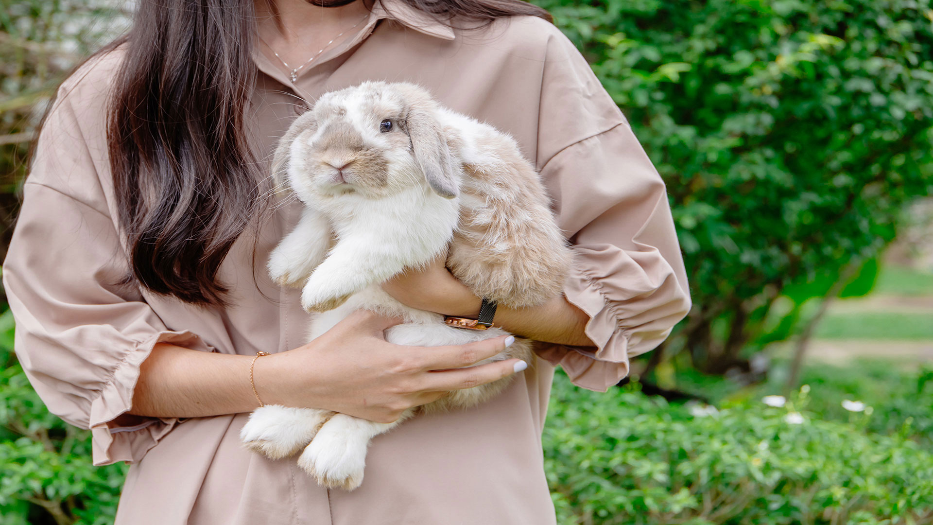 Tavşanlardan Hamsterlara: Evcil Kemirgenlerin Beslenme Rehberi