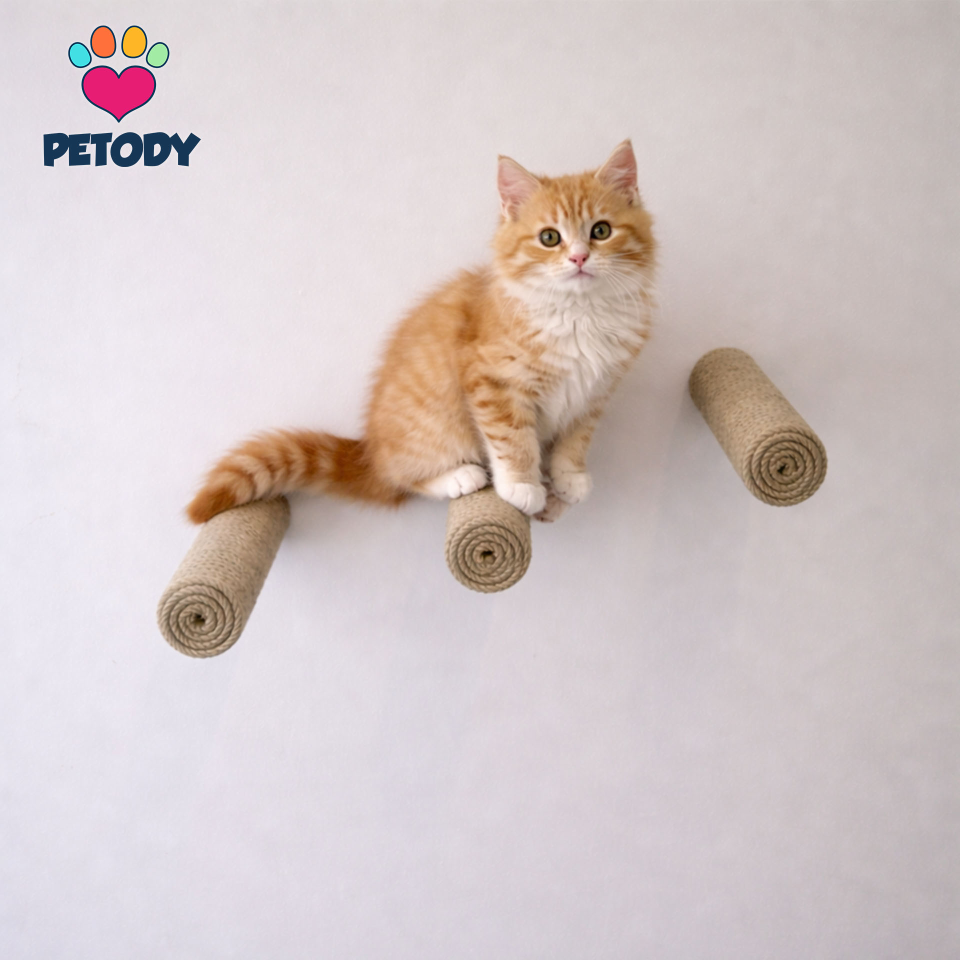 Ascent - Petody Doğal Ahşap Kedi Merdiveni 3 Adet