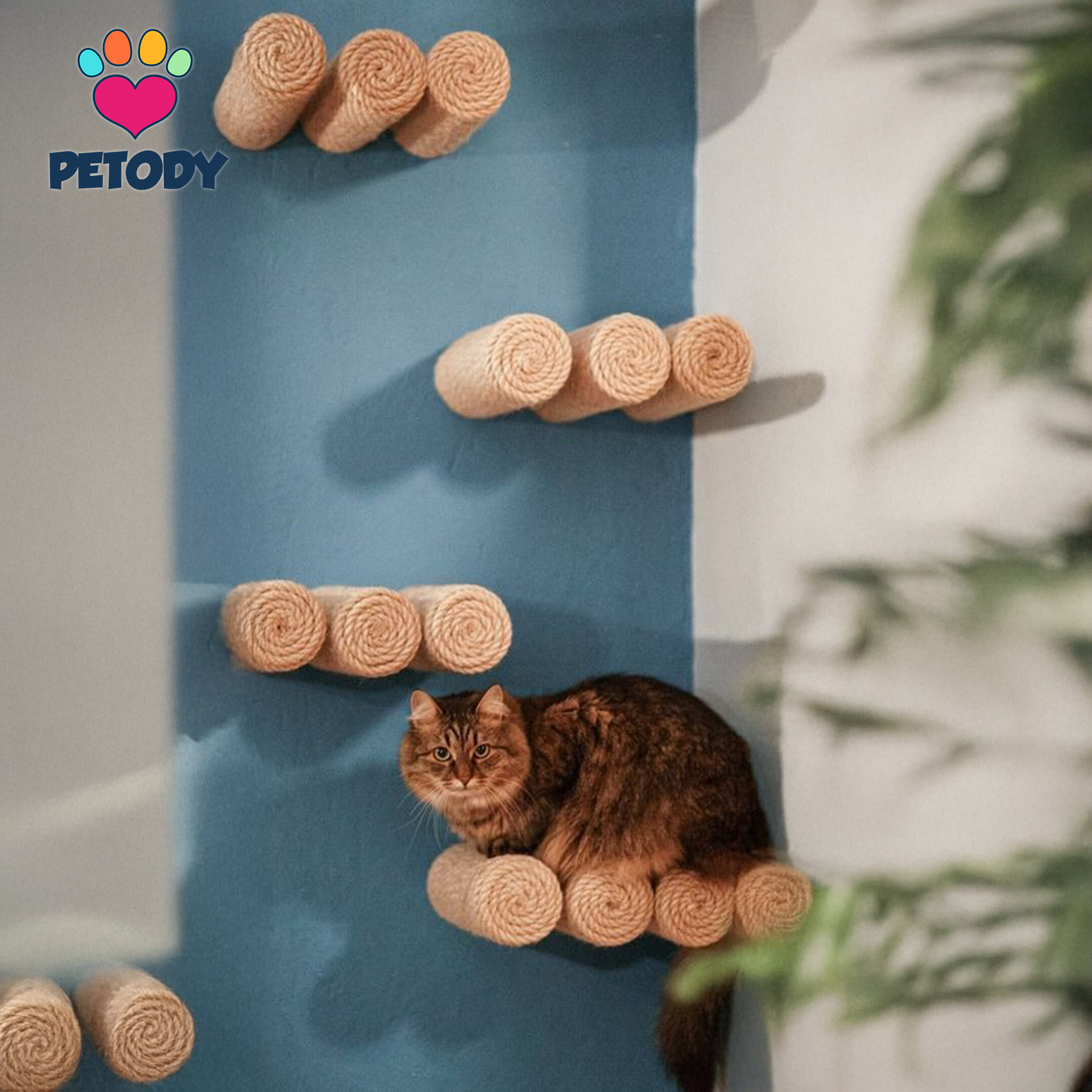 Ascent - Petody Doğal Ahşap Kedi Merdiveni