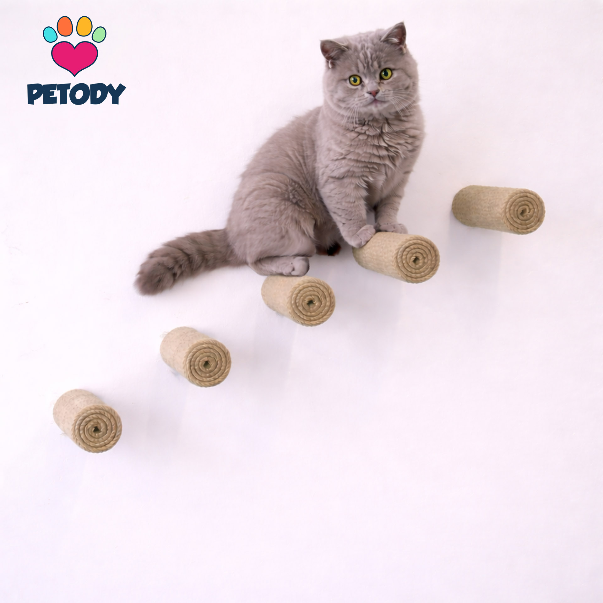 Ascent - Petody Doğal Ahşap Kedi Merdiveni