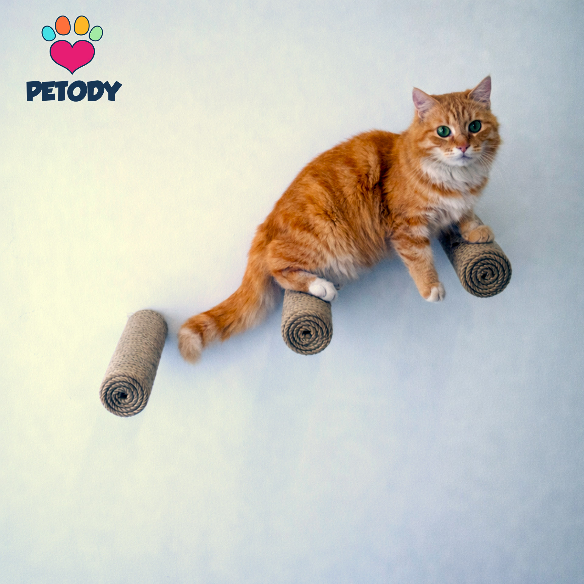 Ascent - Petody Doğal Ahşap Kedi Merdiveni