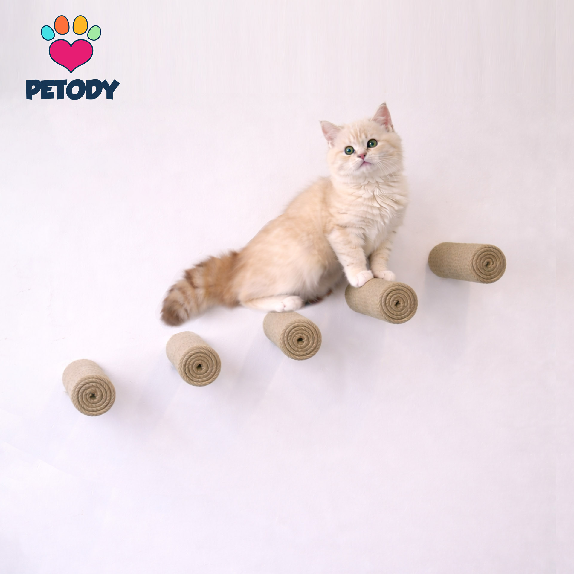 Ascent - Petody Doğal Ahşap Kedi Merdiveni